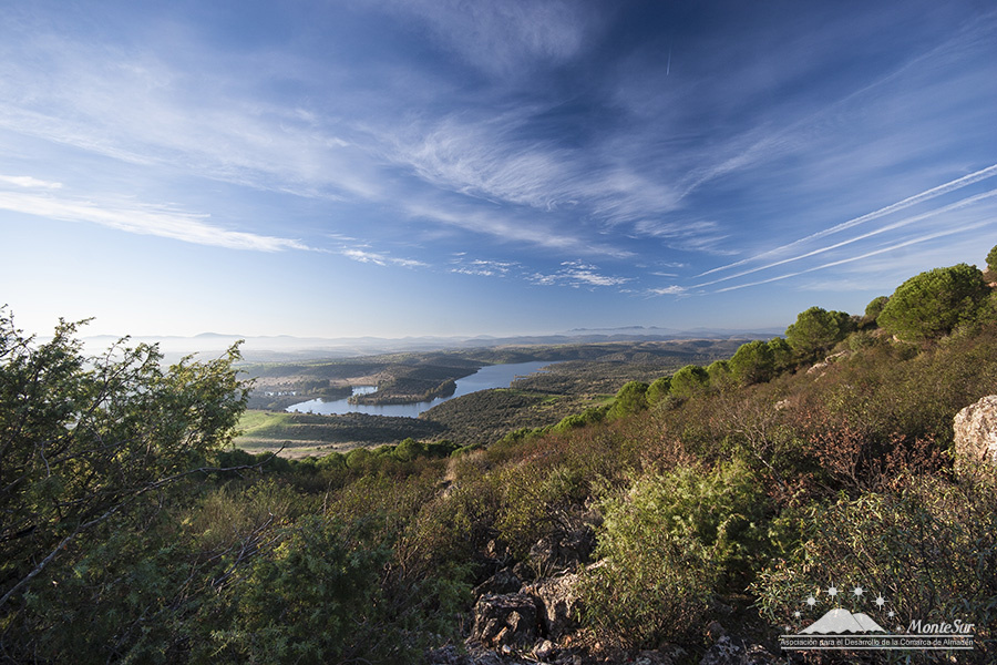 La Hora de Montesur: Aprobadas nuevas ayudas para la comarca