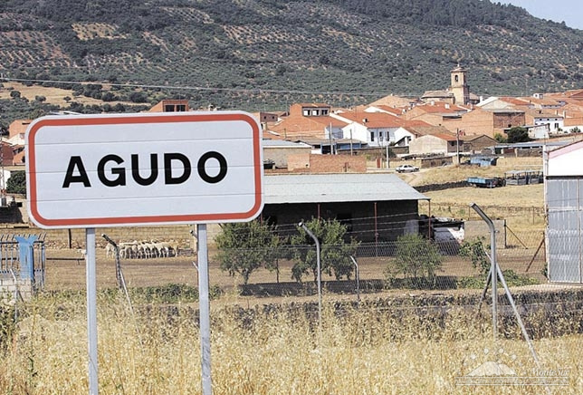 La Hora de Montesur: Agudo