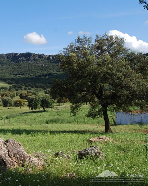  Finca Dehesa Castilseras 