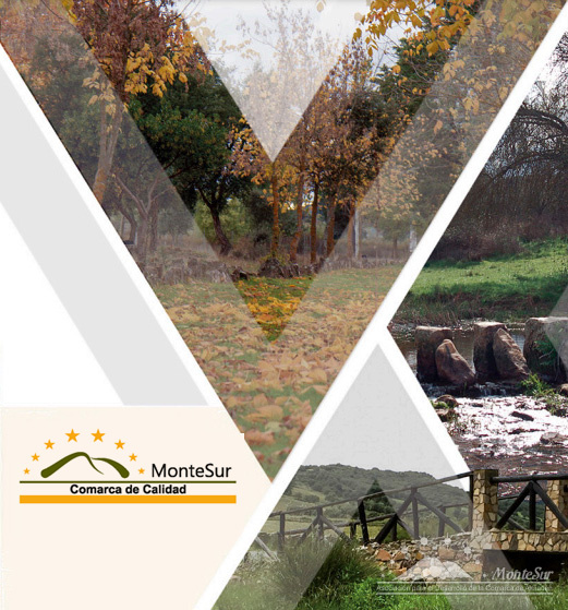 La Hora de Montesur: Aprobados una veintena de proyectos no productivos