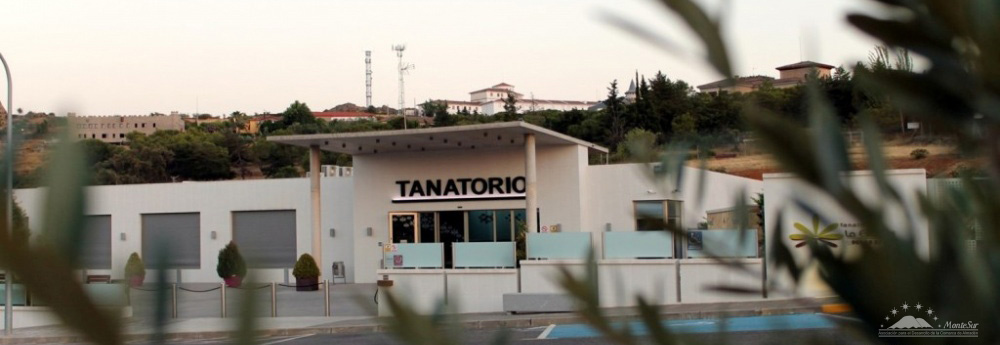 La Hora de Montesur: Floristería Mayoral y Tanatorio La Estrella