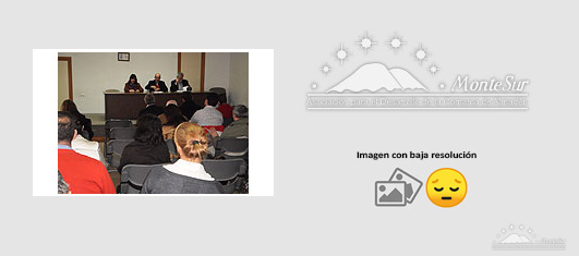 Reunión de la mesa de desarrollo de la Comarca de Almadén Montesur