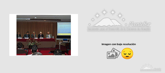 Jornadas 'Ayudas para la Comarca de Montesur'